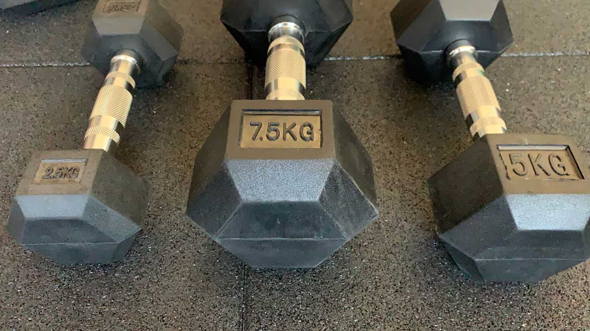 GYMENIST - Manubrio singolo in gomma esagonale, con manici in metallo, per esercizi, pesi pesanti per allenamento, venduto come singolo (11,3 kg coppia), nero